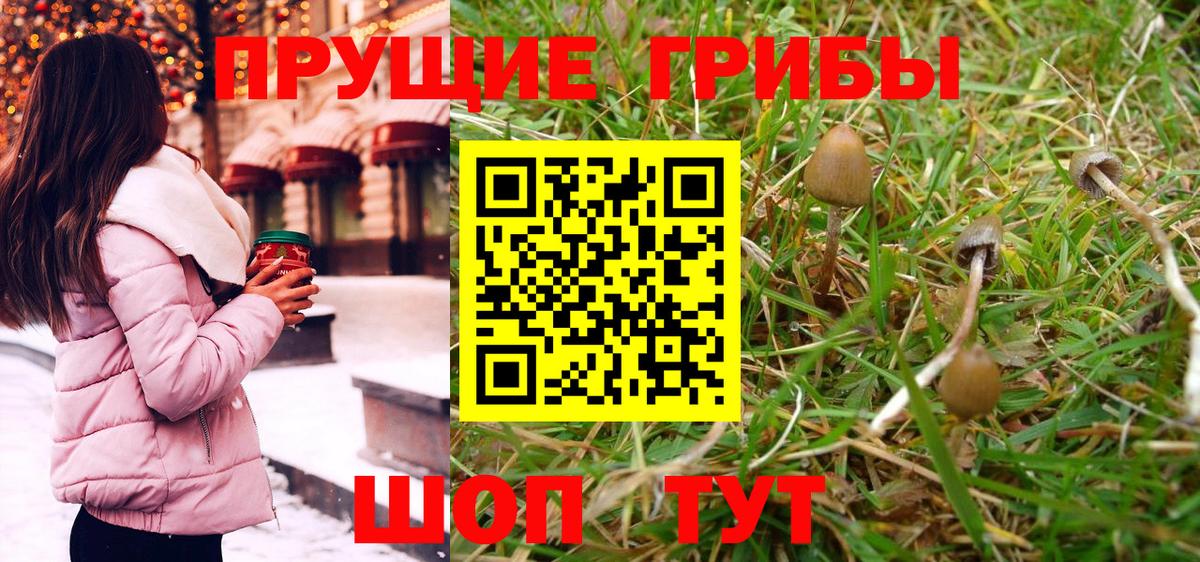 Галлюциногенные грибы Cubensis Нововоронеж